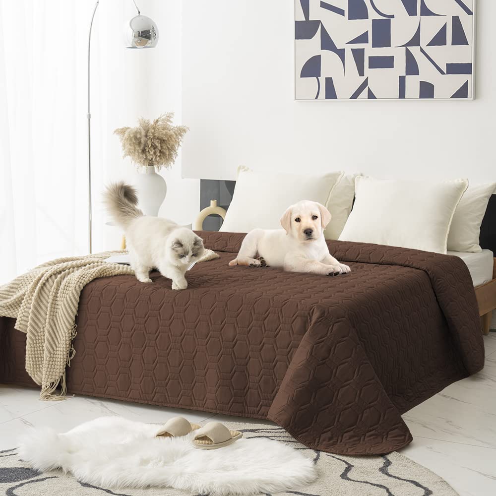 Tcksstex Waterproof Blanket Couch Cover for Dogs Pet Sofa Protector