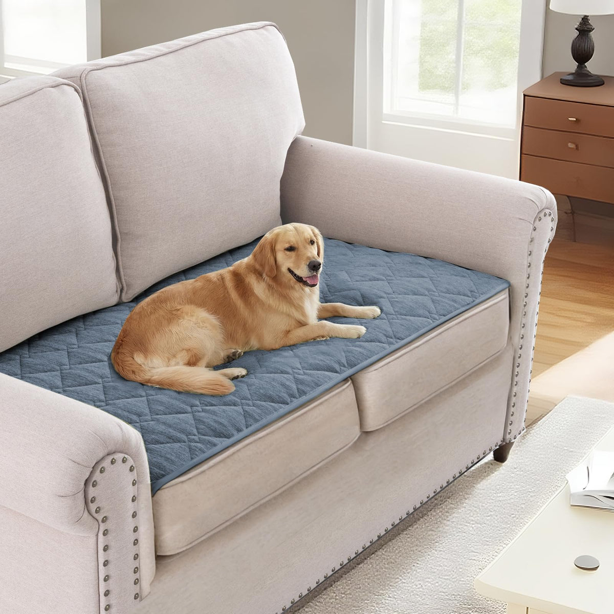 H.VERSAILTEX Couch Cover for Dogs, Non-Slip Washable Pet Sofa Protector