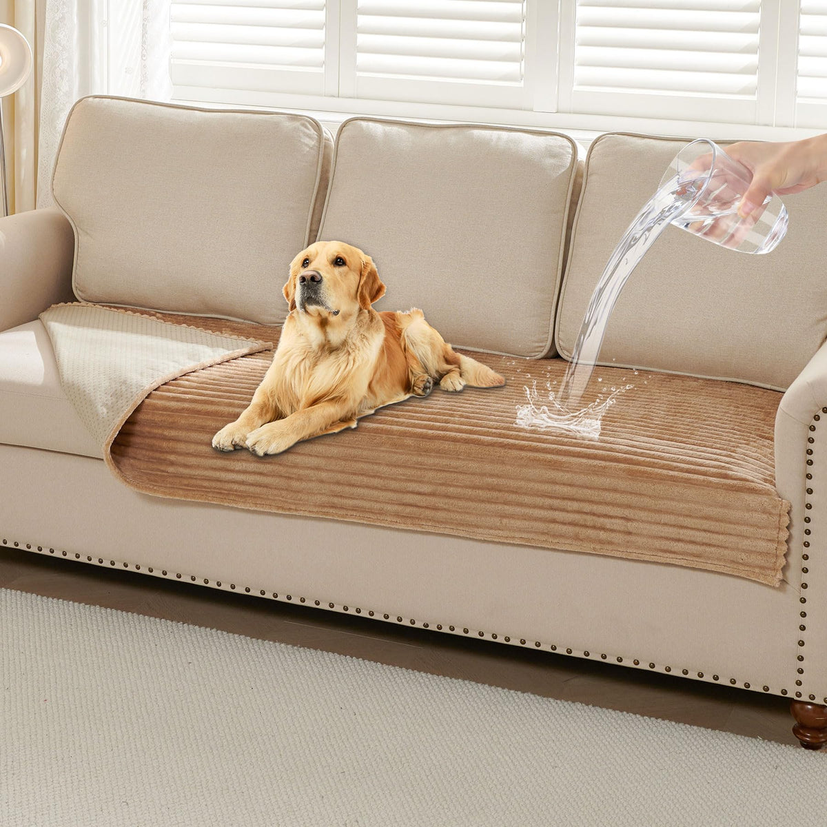 HAOMAIJIA Waterproof Couch Cover for Dogs Washable,Faux Fur Pet Couch Covers for Sofa,Soft Dog Bed Cover Non-Slip Couch Covers for 3 Cushion Couch Sofa Pet Friendly (Off White, 35" x 74")