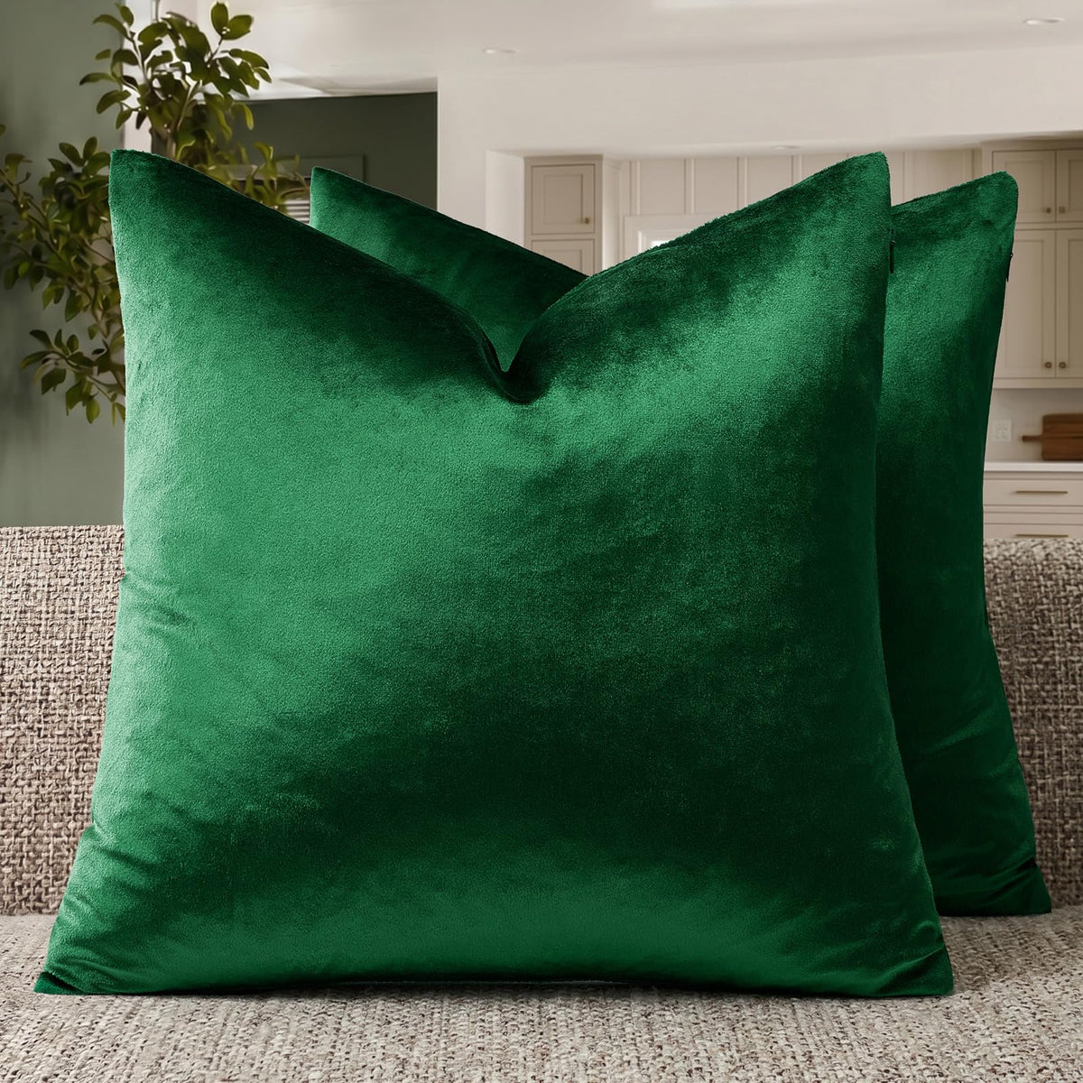 GIGIZAZA Gold Velvet Pillow Covers 18x18 Decorative Pillows Pack of 2